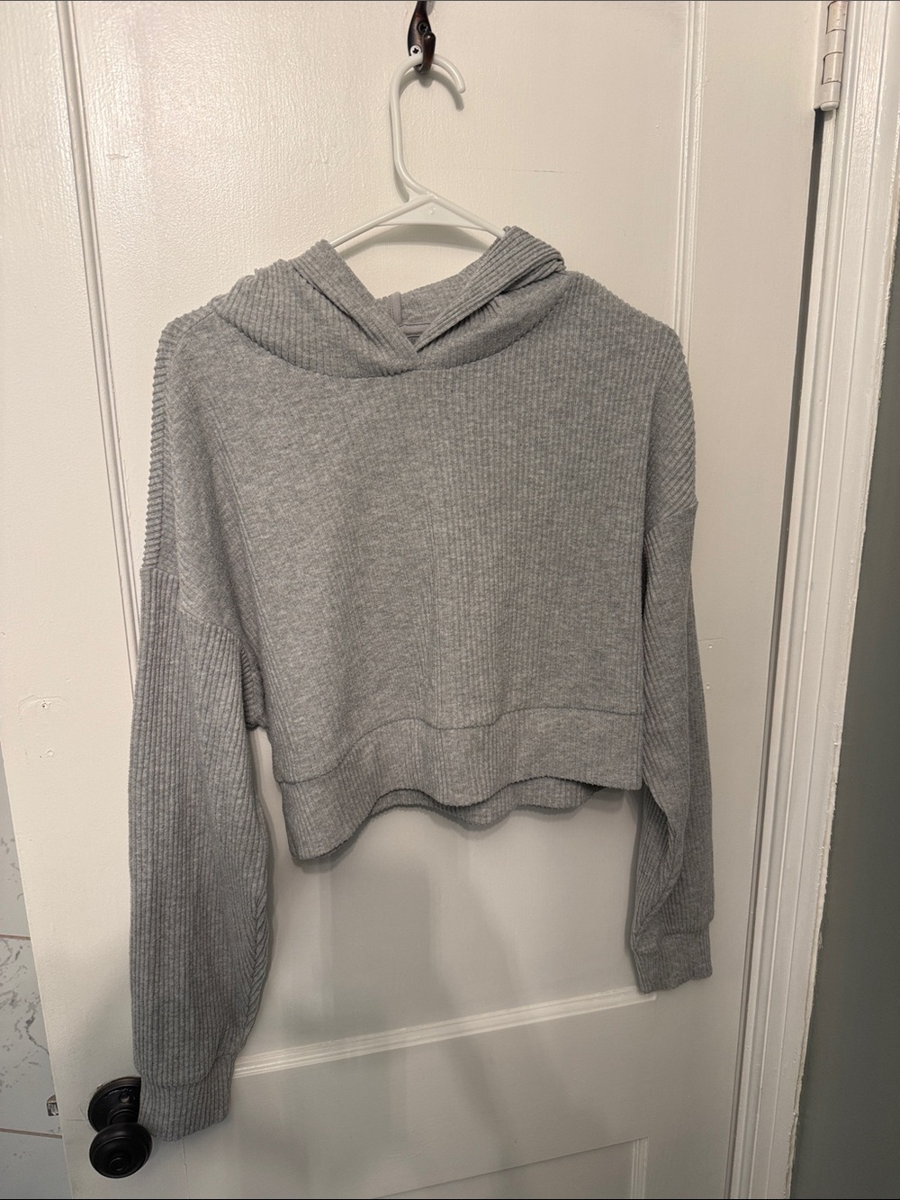 Alo Yoga Cropped Hoodie